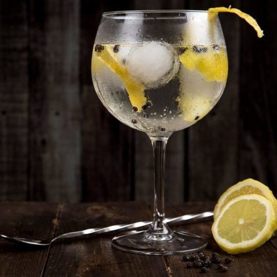 TIPSY GIN TASTING