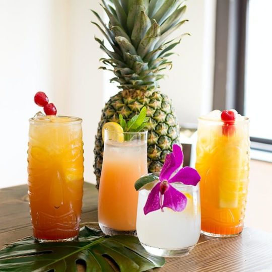 TIPSY TROPICAL SERVICE
